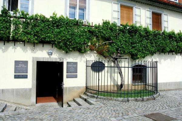 Apartma4Us Maribor Kültér fotó